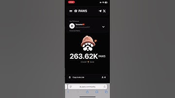 Paws Airdrop Check Eligibility | Claim your Paws Token Now | Check Your Paws Allocation