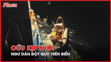 Ngư dân đột quỵ trên biển, tàu cá Quảng Ngãi kêu cứu khẩn cấp - PLO