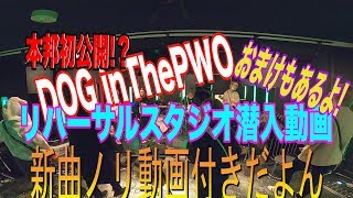 【スタジオ潜入】DOG inTheTOURリハ【新曲ノリ解説付き】