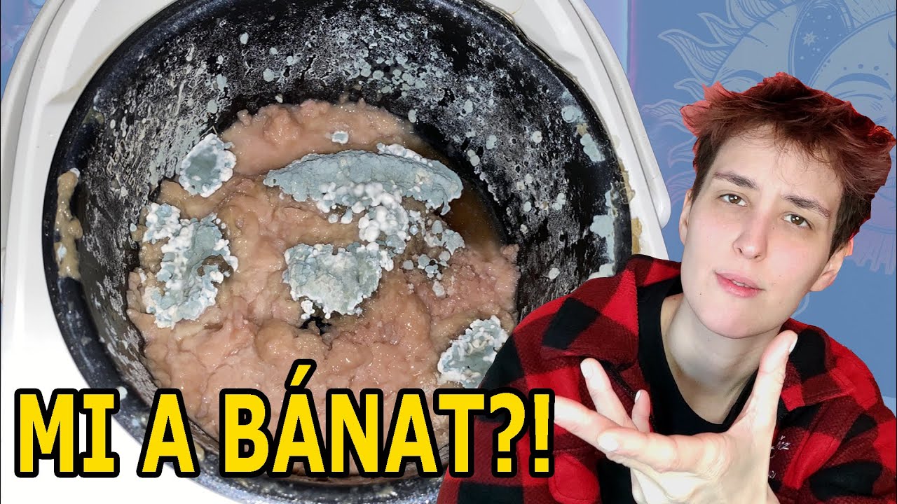 HOGY LEHET ÍGY ÉLNI?! - Instant Dühbe Jövés