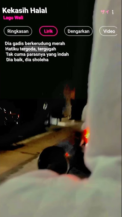Kekasih Halal #wali #storywa #storywamalamhari #sadboy #statuswhatsapp