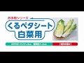 くるペタシート白菜