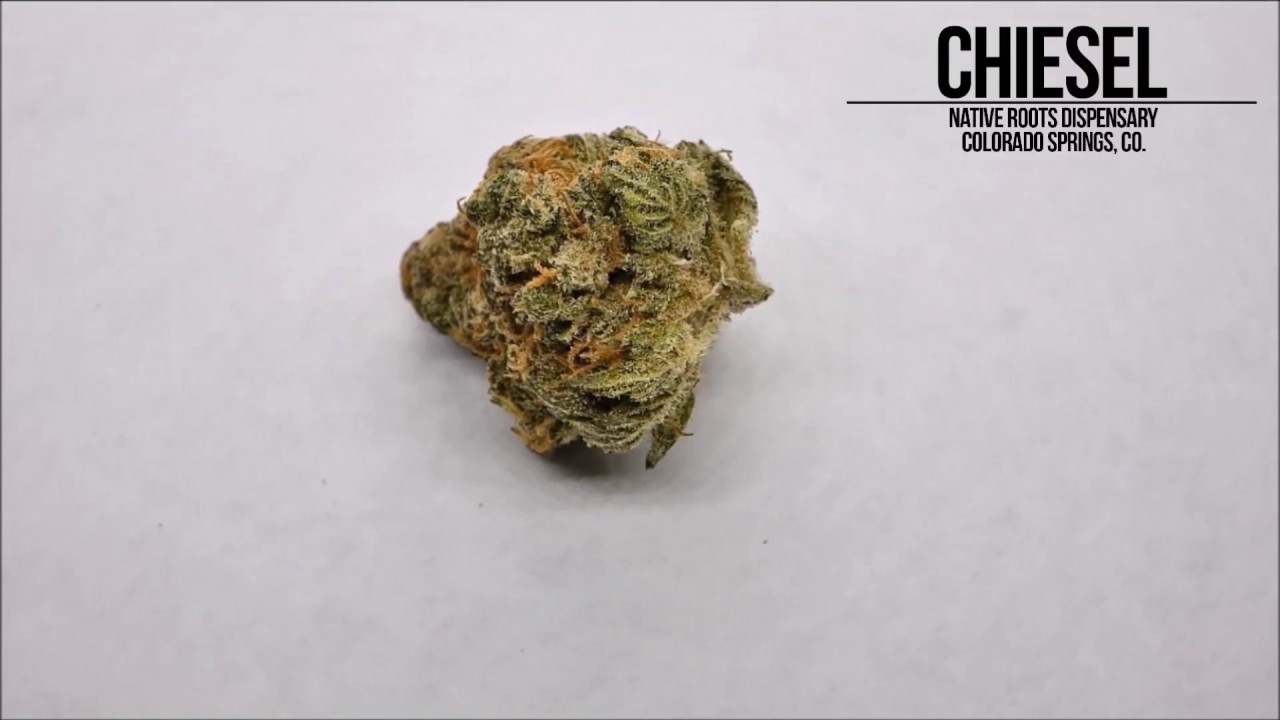 Chiesel Flowers: Native Roots, Colorado Springs, CO.