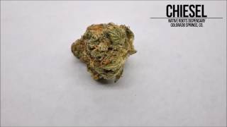 Chiesel Flowers: Native Roots, Colorado Springs, CO.