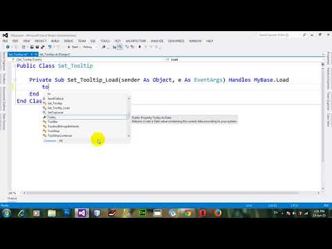 How To Set The Tooltip On Controls In VB NET 2012