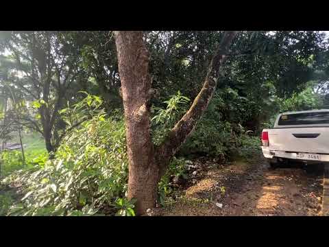 SA DAPIT HAPON NG PROBINSYA #youtube #travel #masterlifechanging #beach #nature #love