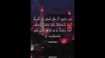 سورة الروم #المسبحة_اونلاين #راحة_نفسية #قرآن