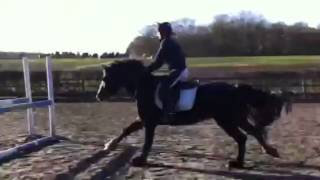 Archie Welsh Section D SJ / Gridwork