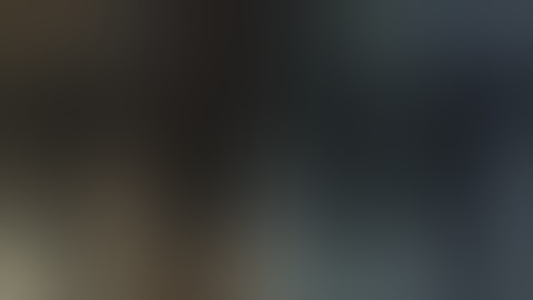 How to Install LCPDFR With The Complete Edition