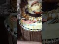 75 hp sleepring motor armature varnish l sleepring motor l motor l #shorts #trendingshorts #viral