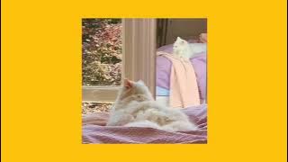 Download lagu Sheila On 7 - Hari Bersamanya || Speed Up