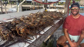 We Found a Lobster Honey Hole LOADED With BIG Bugs!