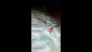 Silkroad under water bug