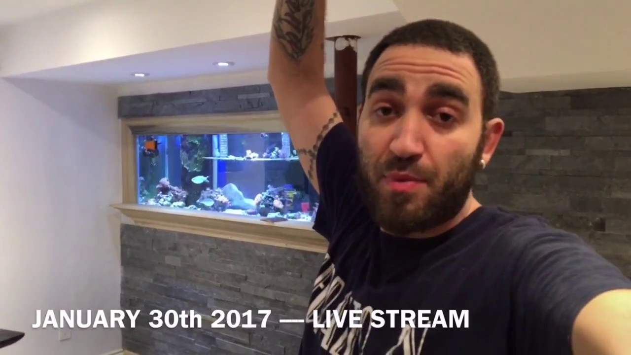 125G REEF TANK BUILT INTO THE WALL - accent wall wood and stone installation