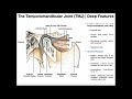Structure and Function of the Temporomandibular Joint (TMJ)