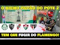 T todo mundo com medo de pegar o flamengo no sorteio da libertadores