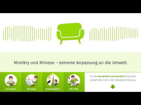 Mimikry und Mimese: