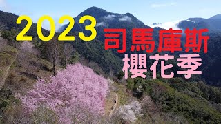 2023年2月司馬庫斯_櫻花季小跑BY87北區平日小跑_貧日RV團