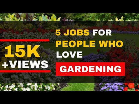 Video: Karriere innen hagebruk: Interessante jobber for mennesker med grønne tomler
