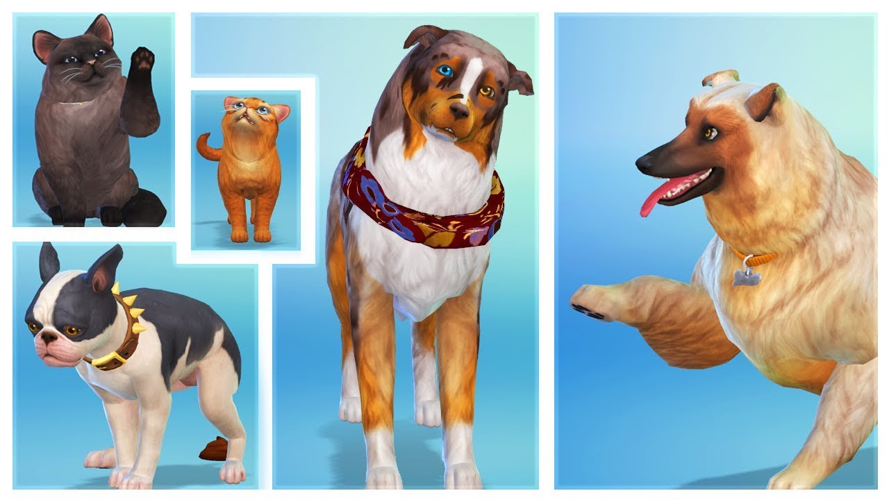 The Sims 4 Cats And Dogs Create A Pet Real Footage Funnycattv