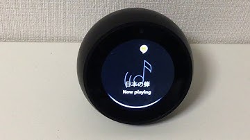 「日本の蝉」編 ～Amazon Echoの全Alexaスキル調査PJ～