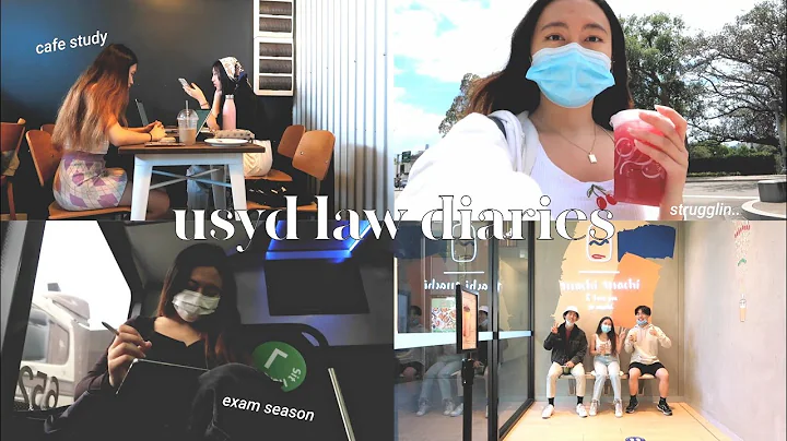 USYD LAW DIARIES | exam season, cafe study, crystal shopping