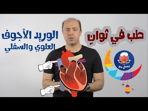 الوريد الأجوف العلوي والسفلي - طب في ثوان - غسيل مخ