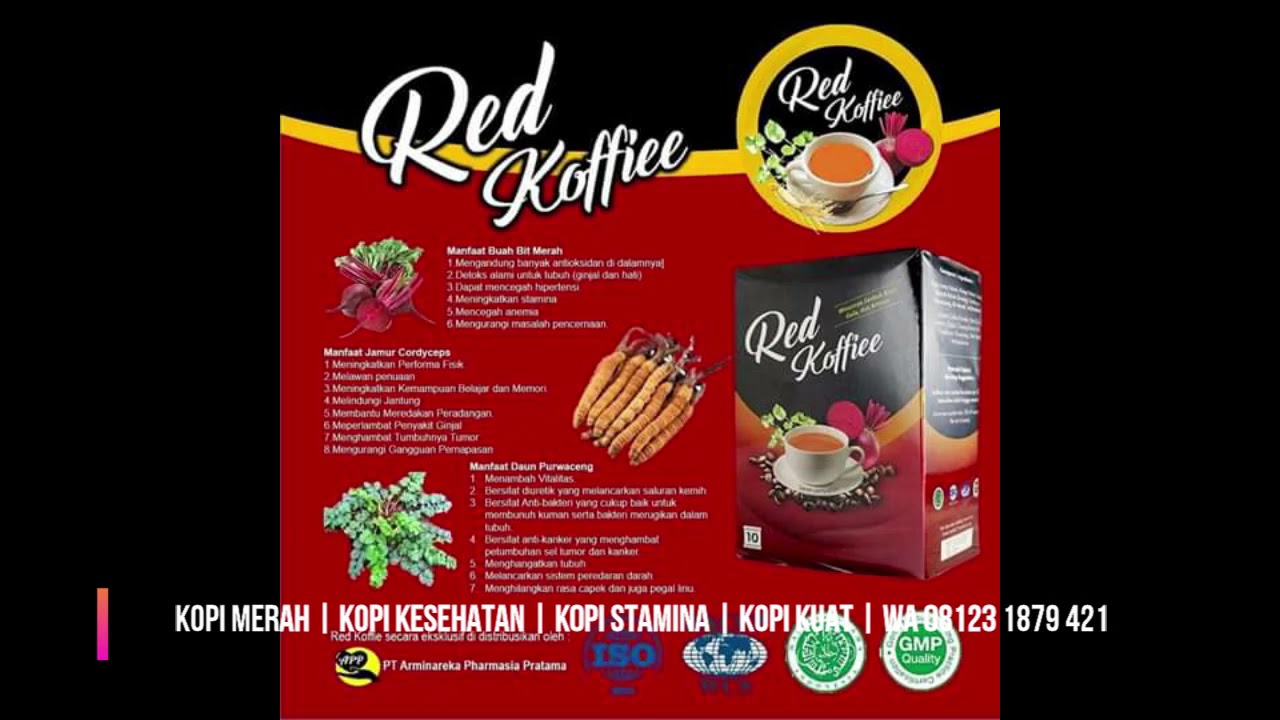 Khasiat Kopi Merah WA 08123 1879 421, Kegunaan Kopi Merah 