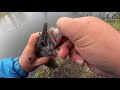 ПЕРВЫЕ!  ВЕСЕННИЕ  ЩУКИ  НА  МИКРОДЖИГ