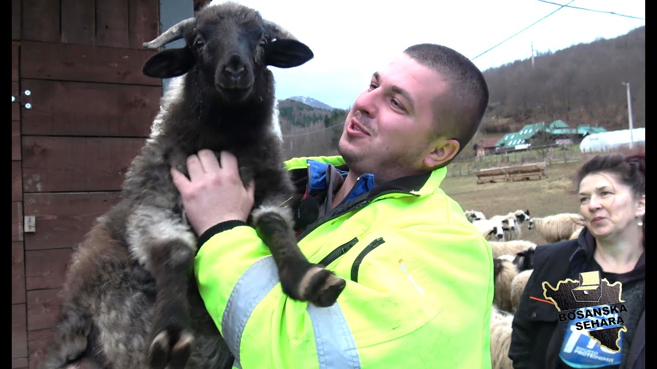 Žao mi bilo prodat djedove ovce i evo farme