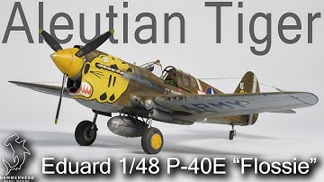 Eduard 1/48 P-40E "Flossie" Aleutian Tiger | Full Build Video