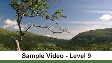 Literature Level 9:  Analyzing Figurative Language Video Sample by Matthew Stephens