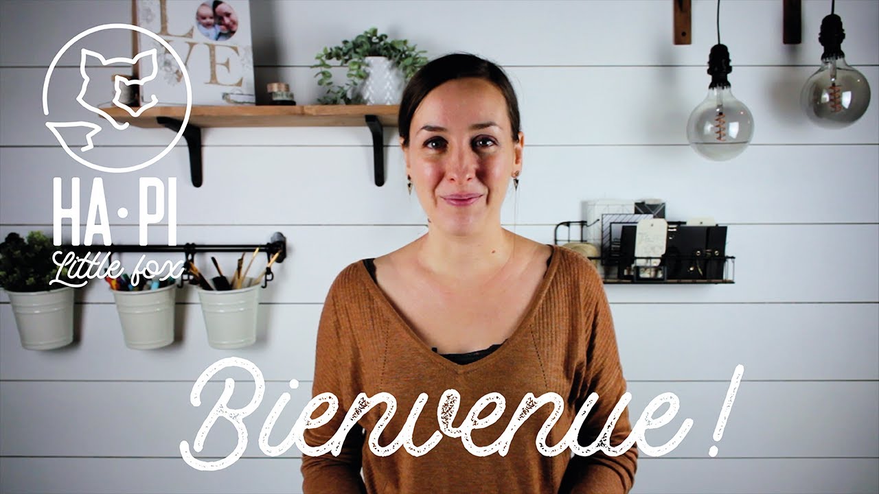 BIENVENUE sur HA PI little fox !