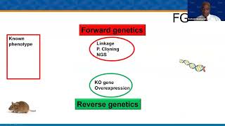 Pediatric Grand Rounds - May 16, 2024