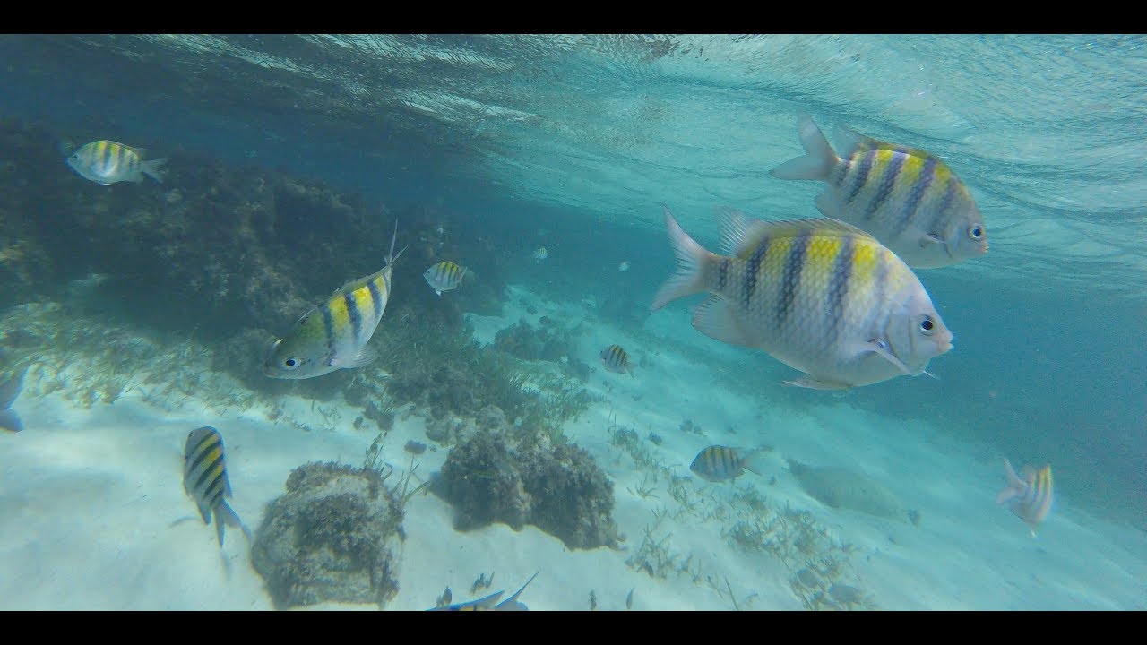 Ocho Rios Jamaica 2017 Jewels Dunn River Resort YouTube