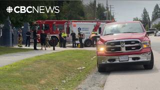 Wrong bear shot after child attacked, says province