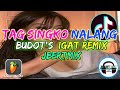 TAG SINGKO NALANG BUDOTS IGAT REMIX DJ JBERTMIX PH