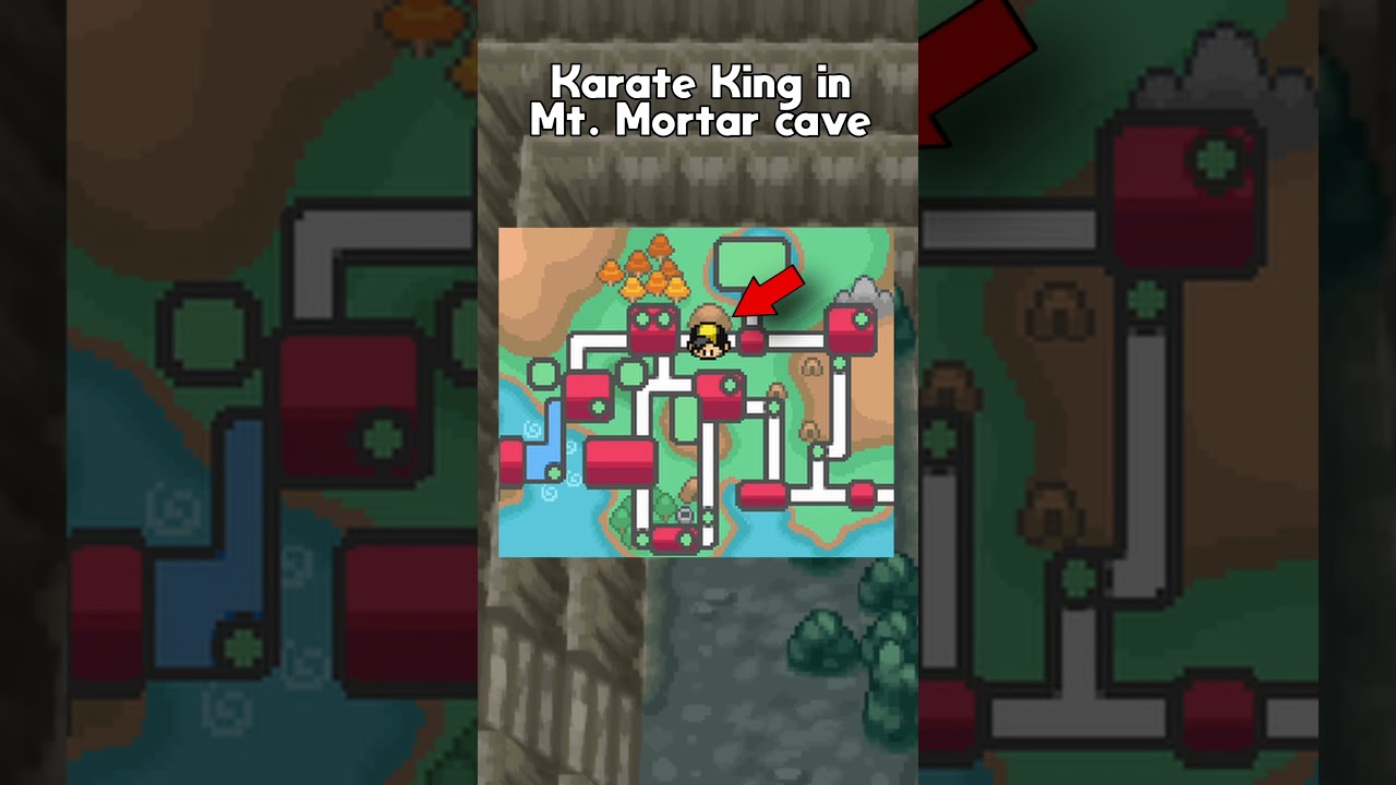 The Tedious Difficulty Of Tyrogue In The Johto Region