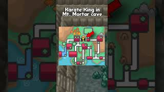 The Tedious Difficulty Of Tyrogue In The Johto Region