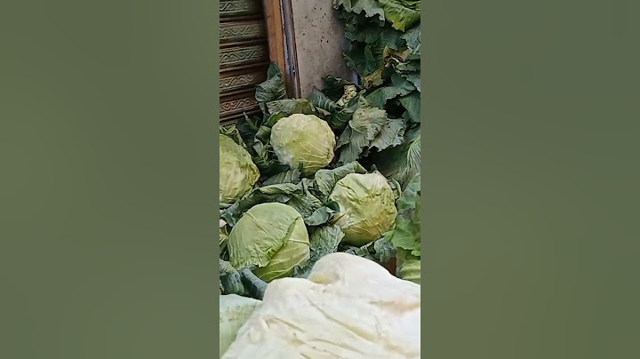 تعالووو نعرف أسعار الكرنب ،🥬