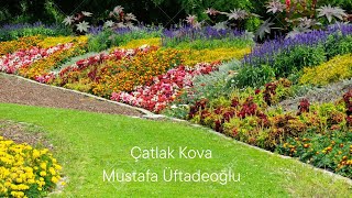 Çatlak Kova, Mustafa Üftadeoğlu