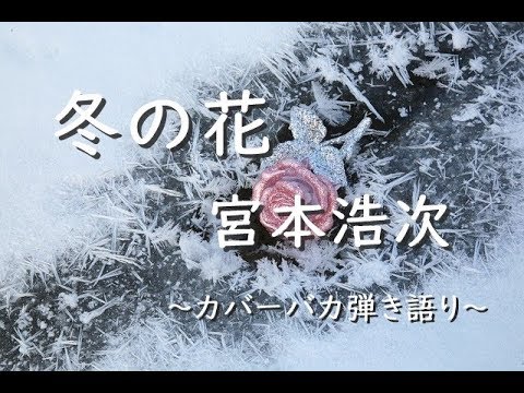 冬の花(宮本浩次)ドラマ『後妻業』主題歌~カバーバカ弾き語り~