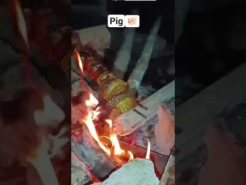 pig roast