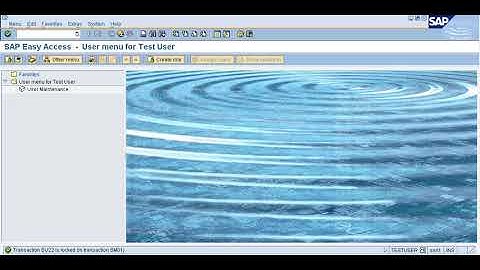 SM01 lock unlock a tcode in SAP