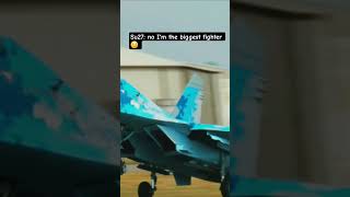 Watch till the end🗿#aviation#funk#shortvideo#trend#edit#fighterjet#su27#mig31#f15#fyp#viral