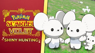 Pokémon Scarlet &amp; Violet Shiny 3-Fam Maushold Hunt | Switch 2 #shorts #shinypokemon