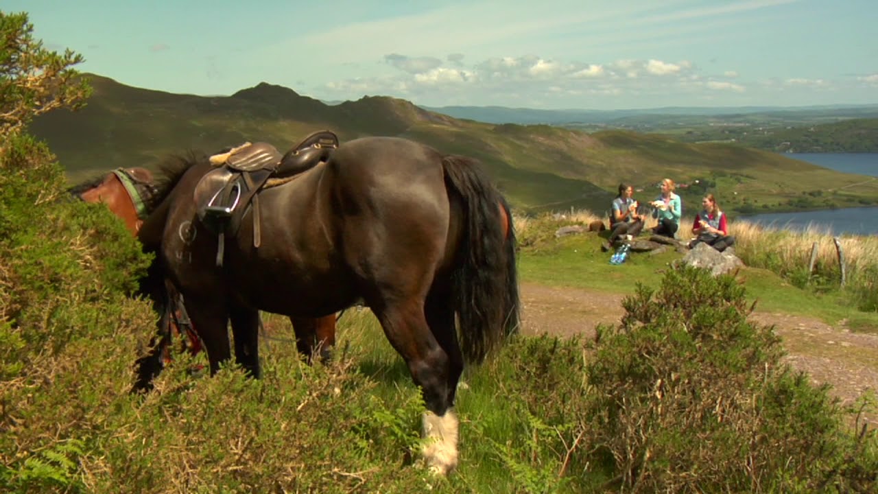 Horseback Riding Ireland's Ring of Kerry YouTube