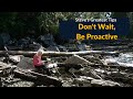Proactive Language Learning