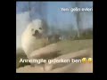 Annemgle ve kaynanamgle gderken ben