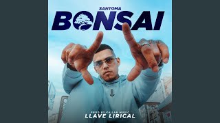 Bonsai - Santoma